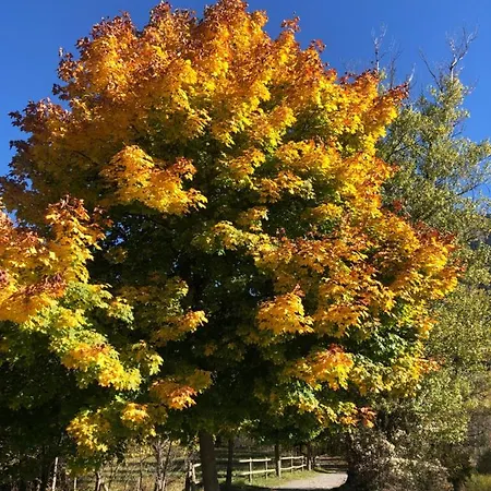 Apartamento Netu - Kasasbenas *
