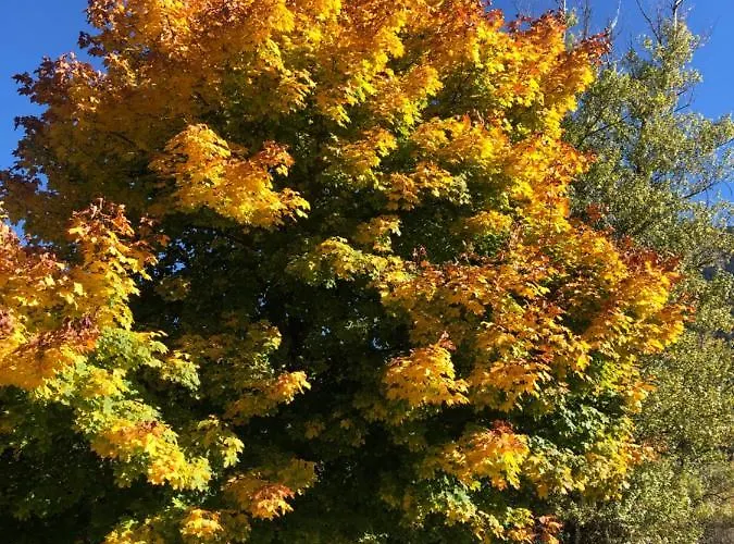 公寓 Netu - Kasasbenas *