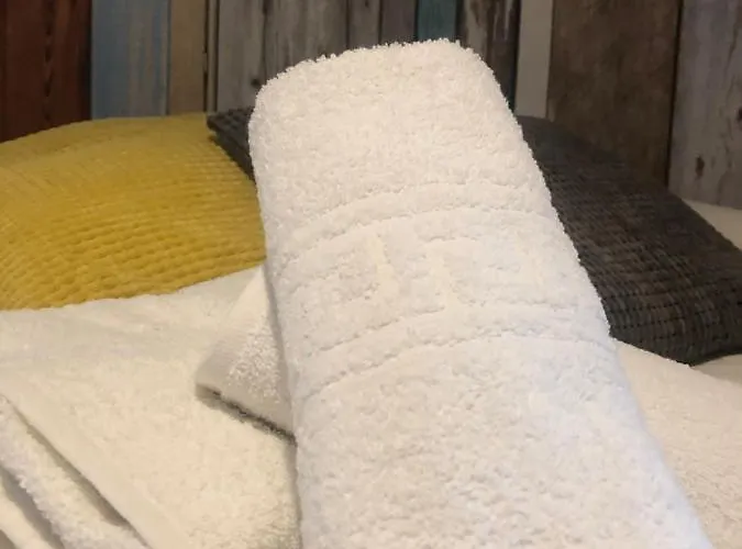 Netu - Kasasbenas Apartment Benasque